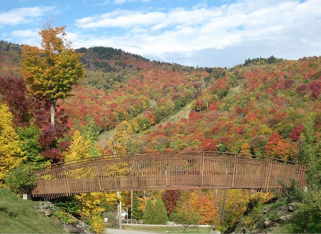 Ski In/Out Trailside Townhome Killington Dış mekan fotoğraf