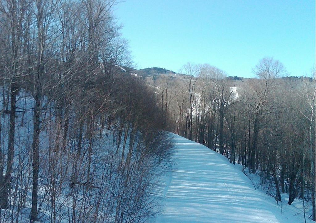 Ski In/Out Trailside Townhome Killington Dış mekan fotoğraf